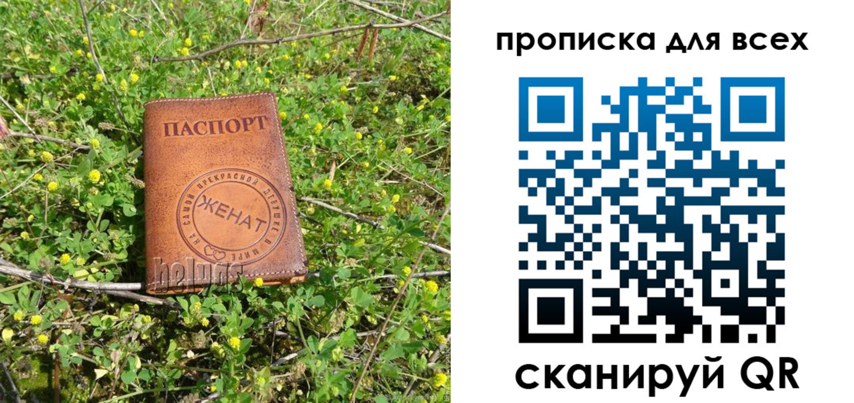 прописка поиск в Чегеме
